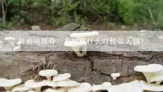 茶树菇炖排骨，茶树菇什么时候放入锅？