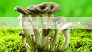 包子一般要蒸多久 包子要蒸多久才会熟