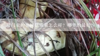 厦门卖的茶树菇质量怎么样？哪里的最好？