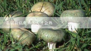 茶树菇菇要煮多久才会熟