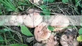 绿豆排骨茶树菇一起煲汤可以吃吗?