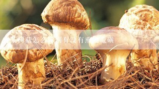 茶树菇怎么辨别有没有熏过硫磺