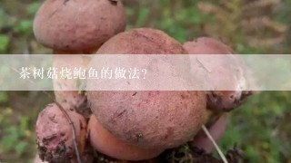 茶树菇烧鲍鱼的做法？