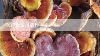 怎样做茶树菇炒肉片