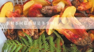 新鲜茶树菇热量是多少啊？