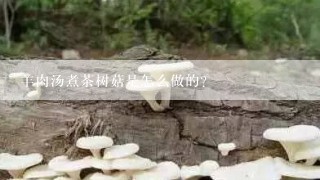 羊肉汤煮茶树菇是怎么做的？