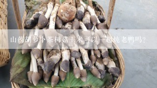 山药胡萝卜茶树菇玉米可以一起炖老鸭吗？