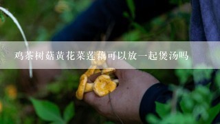 鸡茶树菇黄花菜莲藕可以放一起煲汤吗