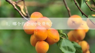 哪个约会app免费呢？