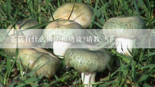 茶菇有什么做法和功效?请教一下