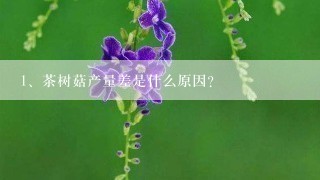 茶树菇产量差是什么原因？