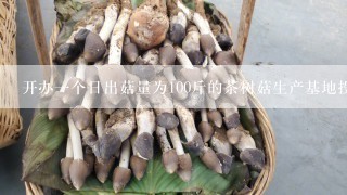 开办一个日出菇量为100斤的茶树菇生产基地投资大概是多少?