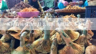 茶树菇炖鸡汤要什么时候才能放入茶树菇？