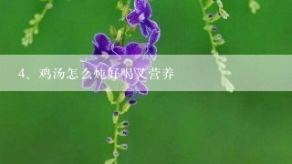 鸡汤怎么炖好喝又营养