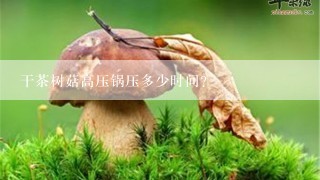 干茶树菇高压锅压多少时间？