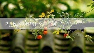 秋季润燥喝什么养生汤