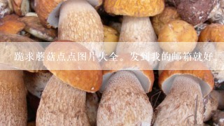 跪求蘑菇点点图片大全。发到我的邮箱就好。1095970196@qq.com