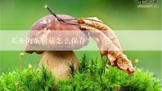 买来的茶树菇怎么保存？
