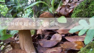 茶树菇吃起来怎么有柴油味