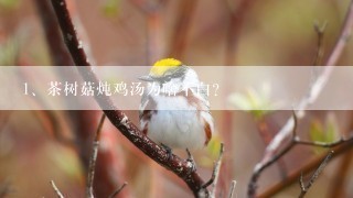 茶树菇炖鸡汤为啥不白？