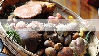 茶树菇怎么做，茶树菇怎么做菜