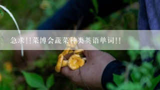 急求!!菜博会蔬菜种类英语单词!!