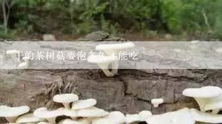 干的茶树菇要泡多久才能吃