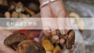 茶树菇怎么煲汤