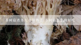 茶树菇煮多久才算熟了 茶树菇怎么做好吃
