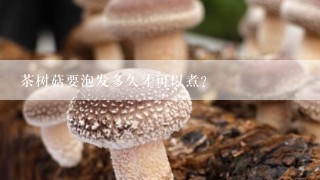 茶树菇要泡发多久才可以煮？