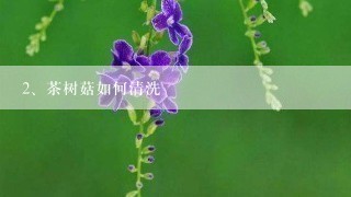 茶树菇如何清洗