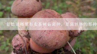 景德镇哪里有卖茶树菇菌种，是菌丝体的那种，不是吃的菇子，是用来接种种的。景德镇下属县市也成。