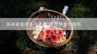 茶树菇要煮多久才熟 没煮熟会中毒吗