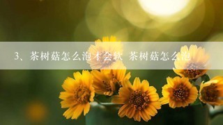 茶树菇怎么泡才会软 茶树菇怎么泡