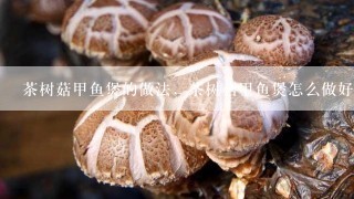 茶树菇甲鱼煲的做法，茶树菇甲鱼煲怎么做好吃？