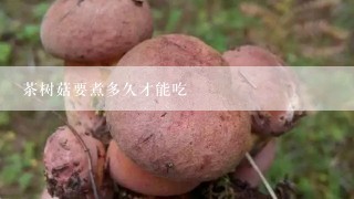 茶树菇要煮多久才能吃