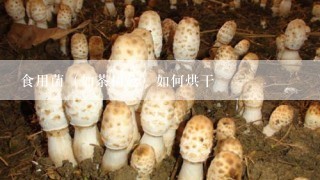 食用菌（如茶树菇）如何烘干