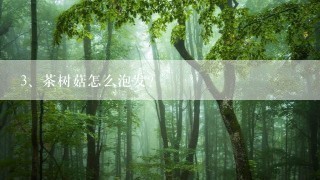 茶树菇怎么泡发？