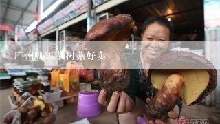 广州哪里茶树菇好卖