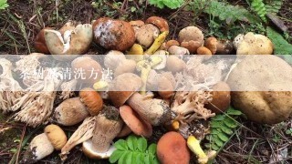 茶树菇清洗方法