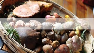 排骨茶树菇汤炖小米燕麦粥可以吗