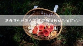 新鲜茶树菇怎么保存 新鲜茶树菇的保存方法