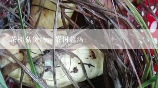 茶树菇煲汤，茶树菇汤