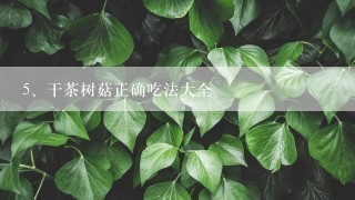 干茶树菇正确吃法大全