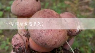 干茶树菇要泡多久？