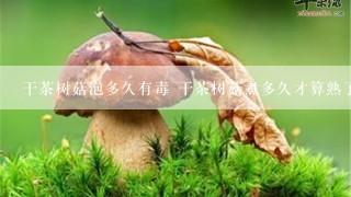 干茶树菇泡多久有毒 干茶树菇煮多久才算熟了