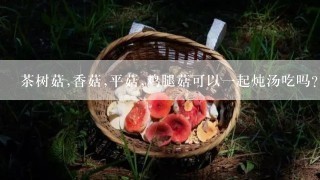 茶树菇,香菇,平菇,鸡腿菇可以一起炖汤吃吗?
