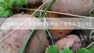 干茶树菇泡多久能吃茶树菇干泡多久可以吃？