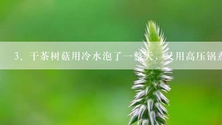 干茶树菇用冷水泡了一整天，又用高压锅煮了，还是很