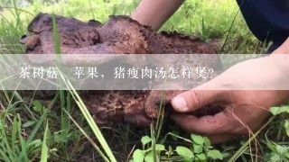 茶树菇，苹果，猪瘦肉汤怎样煲？